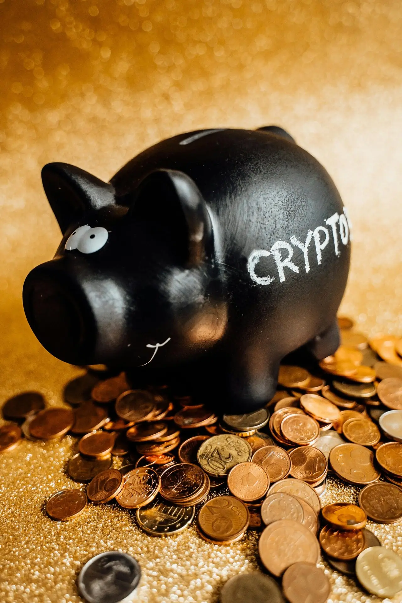 Crypto Wallets & Security - Wallet Pig